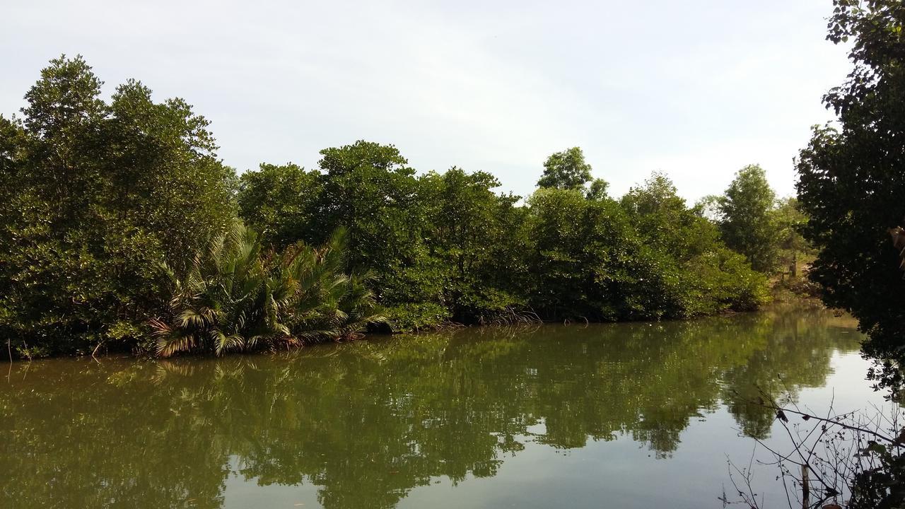 Mangroves & More @ Cambodia Сіануквіль Екстер'єр фото
